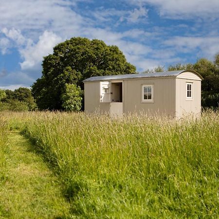 Romantic Secluded Shepherd Hut Hares Rest Southwick  Exterior foto