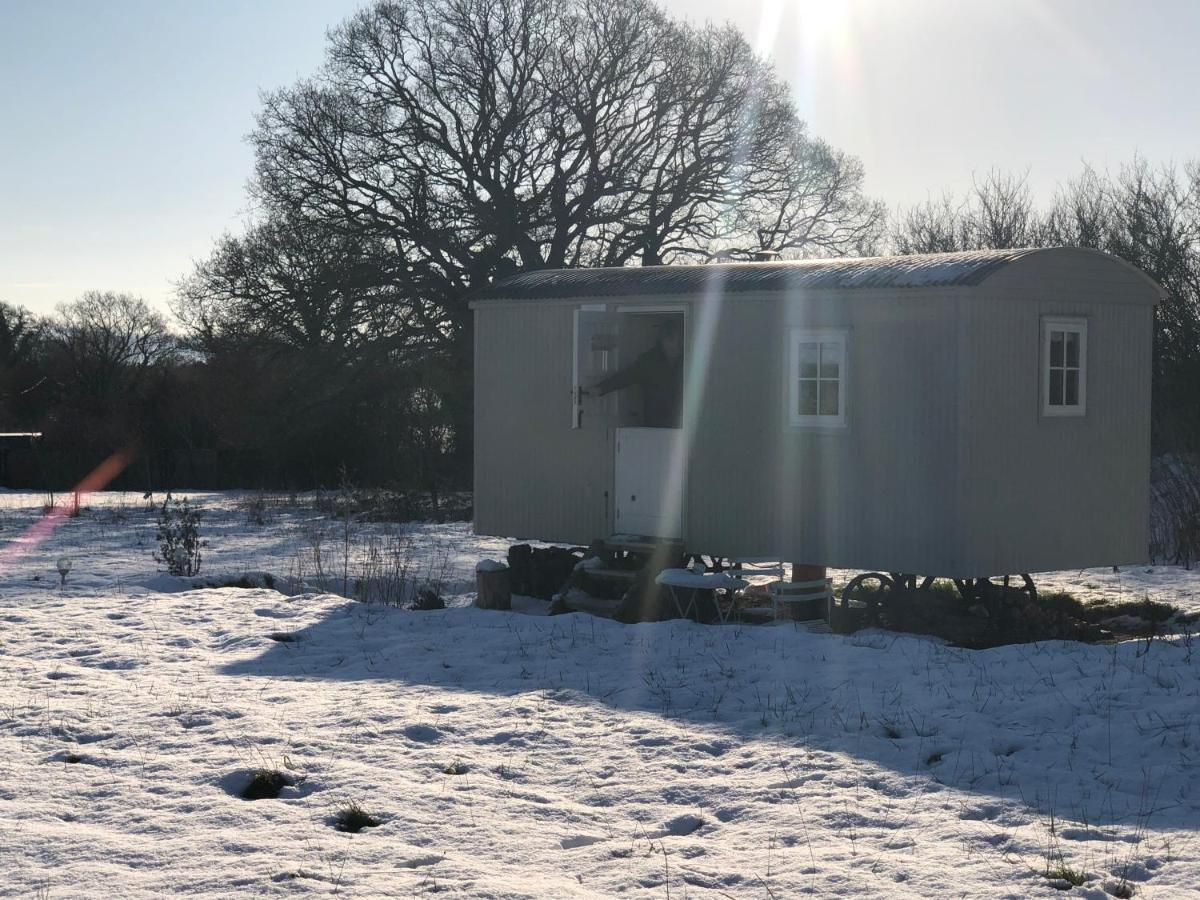 Romantic Secluded Shepherd Hut Hares Rest Southwick  Exterior foto